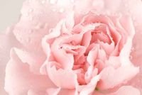 Fotolia_7898079(1)