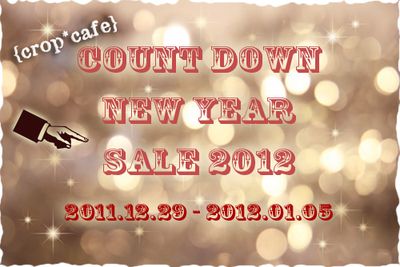 CountDown-Newyear-sale2012